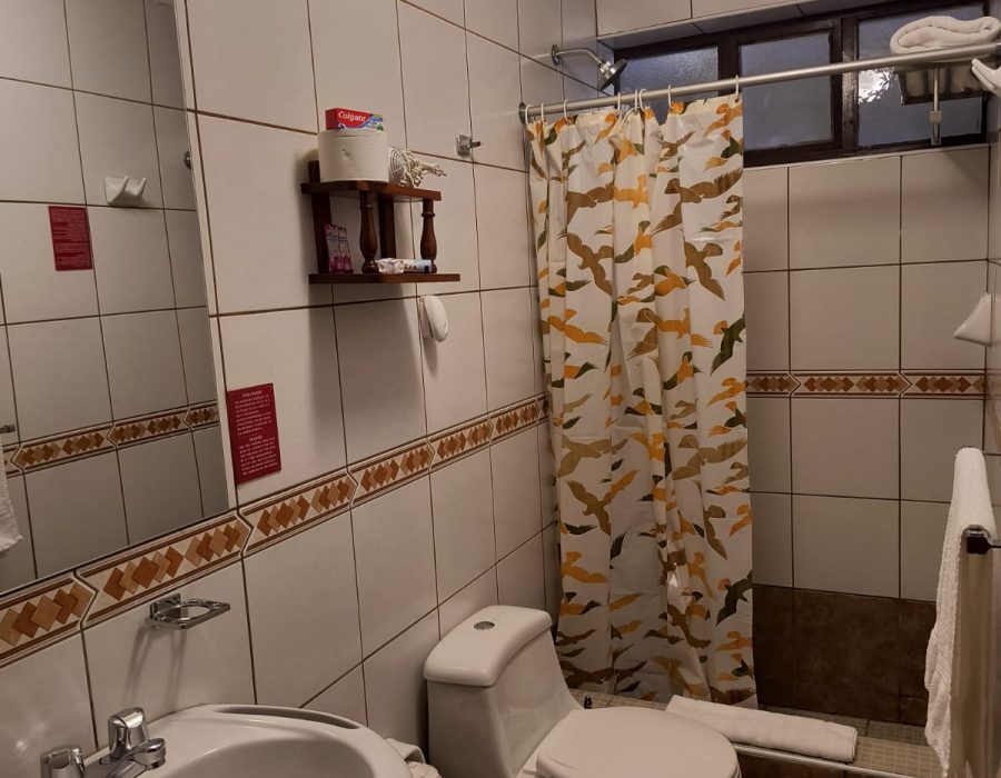 WhatsApp Image 2026-01-15 at 2.32.43 PM